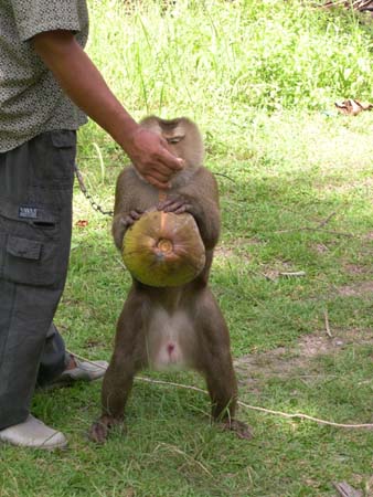 Thailand
