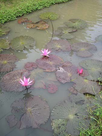 Thailand